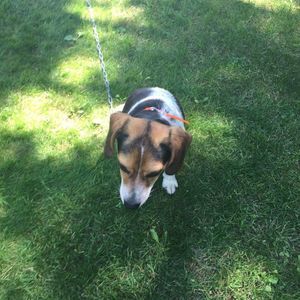 Meet your Posher, Molly sue